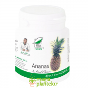 Ananas 200 CPS – Pro Natura